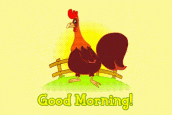 RoosterGoodMorning